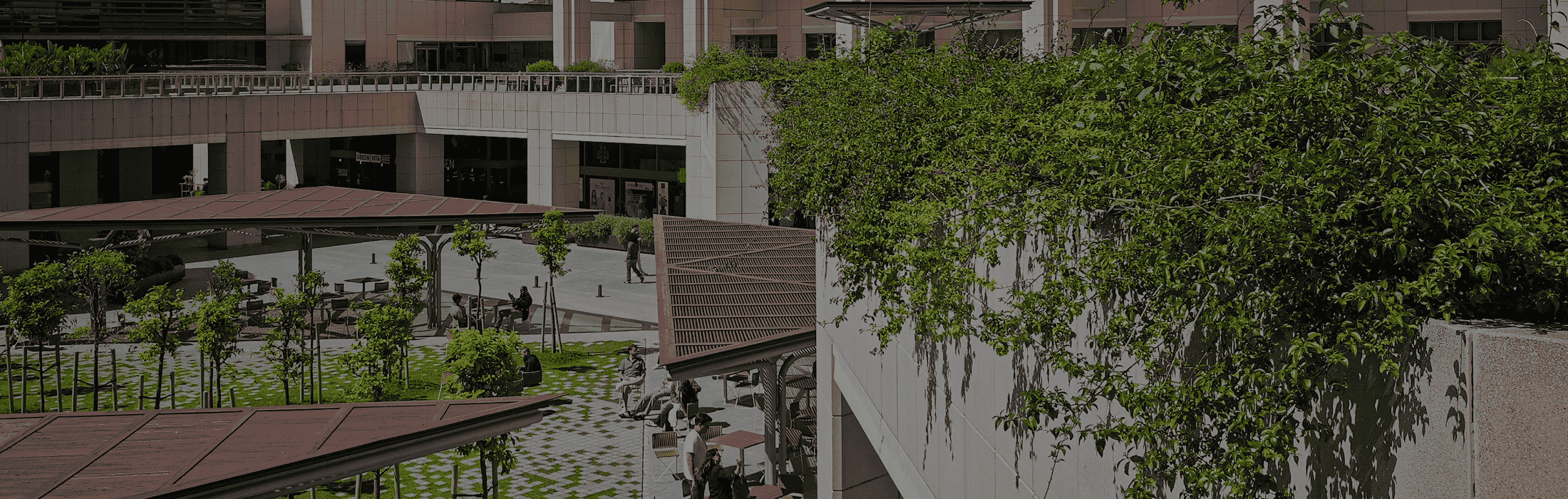 background-header-2025-WTCB-3